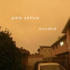 Pale Yellow - Woodkid (COVER)