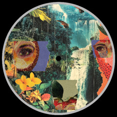 Wilba - Retracing The Steps [STRWB014]