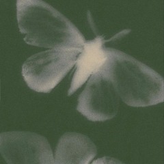 If by Rudyard Kipling