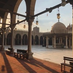 تاريخ مصر الإسلامية | مع الدكتور قاسم عبده قاسم | الحلقة السابعة 007 الدولة الأيوبية