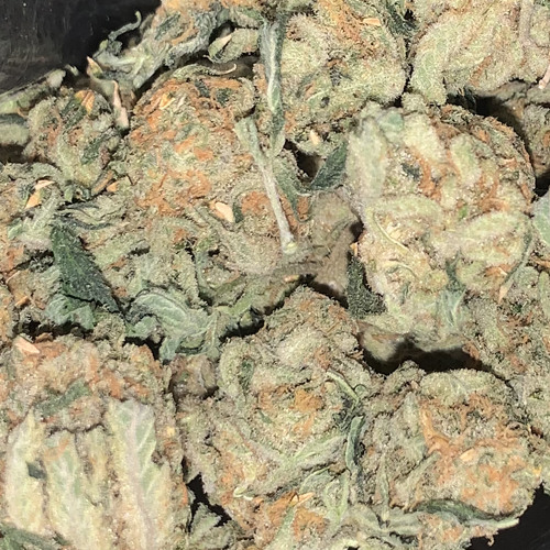 Stream 9lokknine No Relay Ft. Soldier Kidd SLOWED by 863kalebb