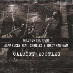 A$AP Rocky - Wild For The Night (CALCIFY BOOTLEG)