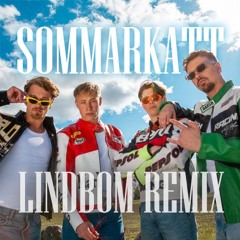 Lov1 - Sommarkatt [LINDBOM REMIX]