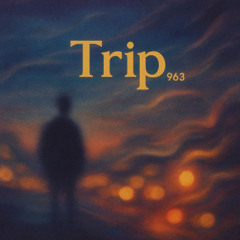 trip