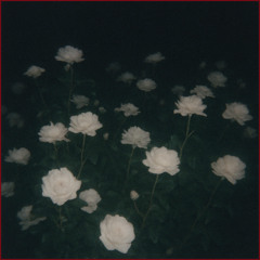 night terror