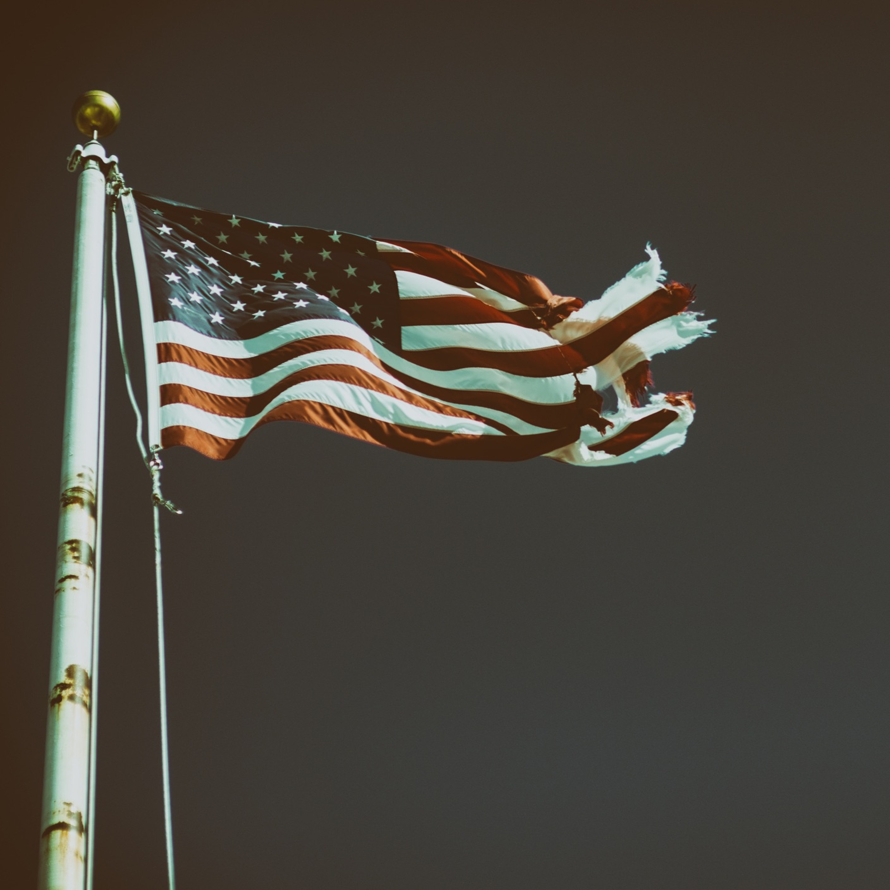 The Science of Politics