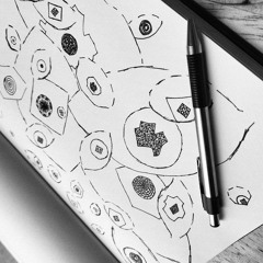 doodling in the key of c sharp [DEMO]
