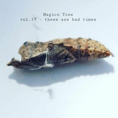 Magico Tree Vol.37 - Dead end