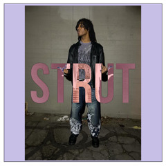 Strut