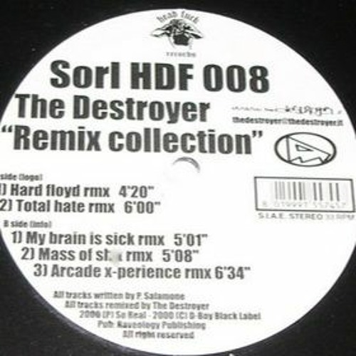The Destroyer - My Brain Is Sick (Rmx)