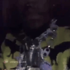 Lil Uzi Vert - binary trigger (mcvertt)