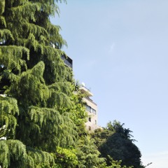 20231211 - 2 with noise improvisation