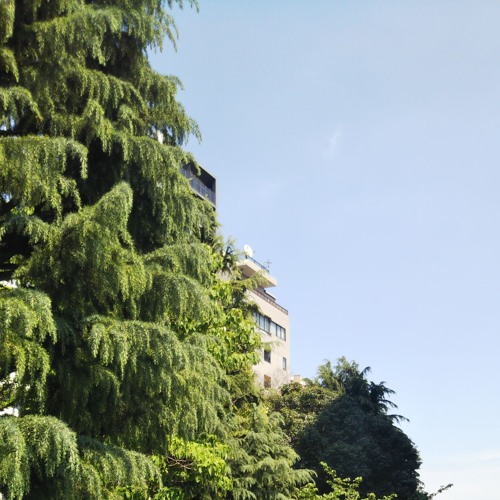 20231211 - 2 with noise improvisation