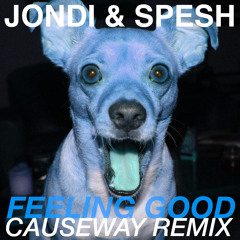 Feeling Good (Causeway Cosmic Remix Edit)