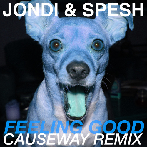Feeling Good (Causeway Cosmic Remix Edit)