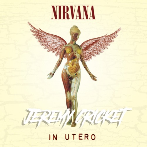 Rape me - Nirvana (Jérémy Cricket Remix)