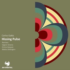 Carlos Gatto - Hissing Pulse (Vagner Silveira Remix)