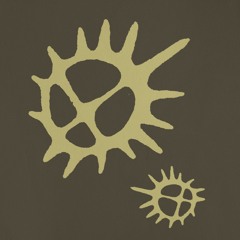 AM - Circulair Rotation (AM002)(FREE DOWNLOAD)