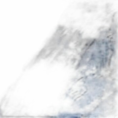human