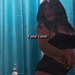 Fake Love