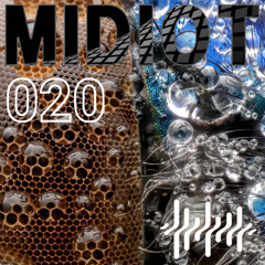 251101 - MIDIOT - 020