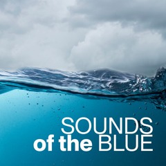Sounds of the Blue