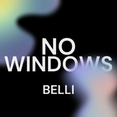 NO WINDOWS