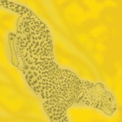 lonely drive to nowhere