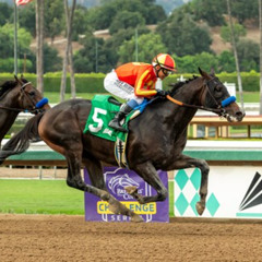 My Race Call Of The 2025 Goodwood Stakes During Autumn Meet At Santa Anita Racetrack