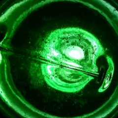 Hoiraura - Mister Cervidéhus