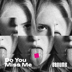 Do You Miss Me (Free Download)