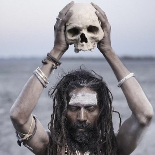 CANNIBAL CORPORATION- Ducatti Dj.