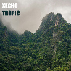 TROPIC DUB