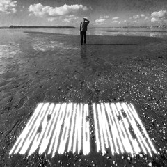 Absorbing Imagery (Prod. Vic Grimes)
