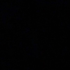 Welcome to the jungle