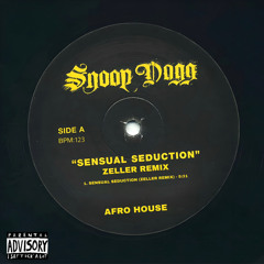 Snoop Dogg - Sensual Seduction (ZELLER Remix)