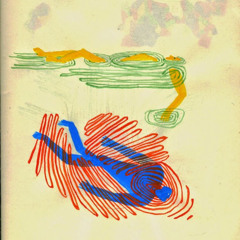 Indios ~ Flores de enero (cover)