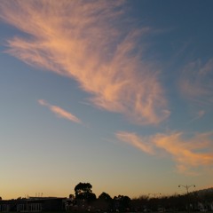 Striped Lunatic (mastered)