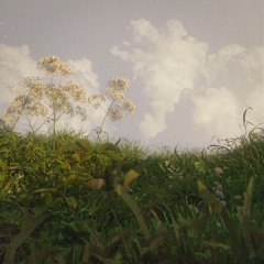 Rara Avis  [ Primavera ₀₀₁ ]