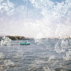 Views from Yamashita Park