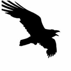 Picasso Tout En Lenteur