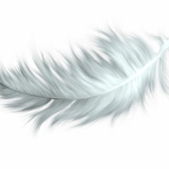 Set Bday Omairy Febrero 2019 Marriage <3