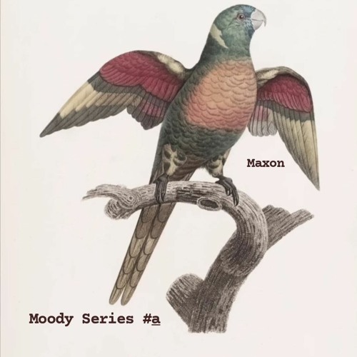 Maxon - Moody Series #a