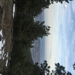 In A PanoRamiC (2020 ReCap)