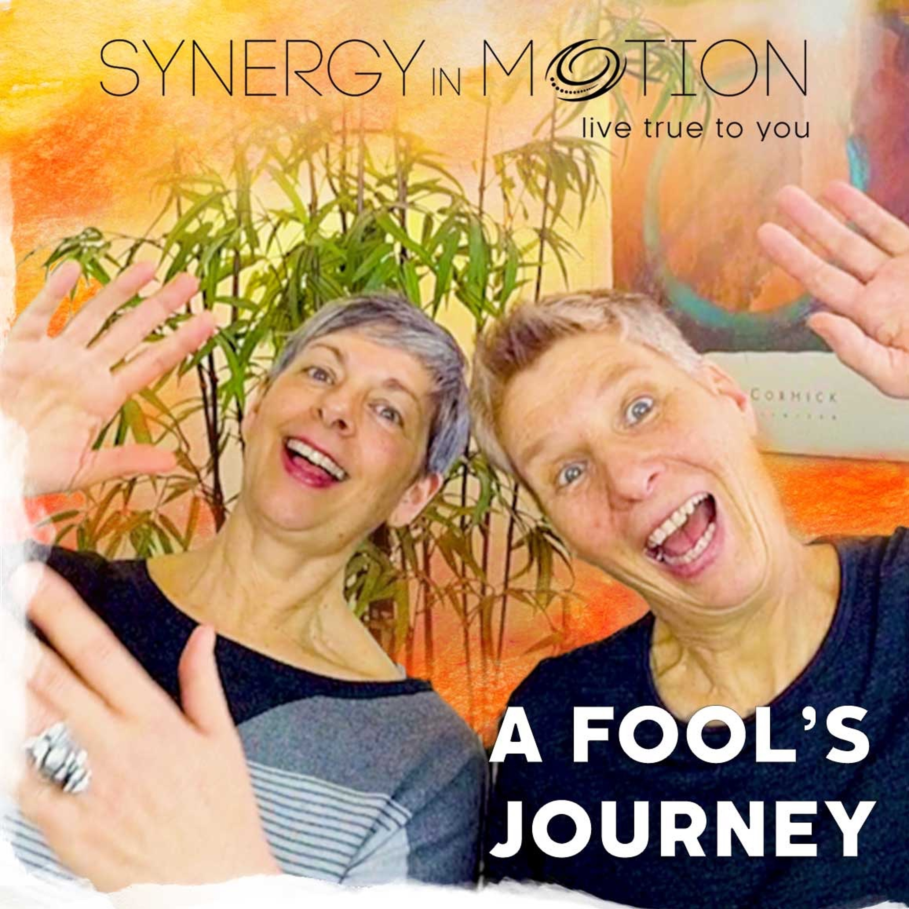 A Fool's Journey ~ Hexagram 25 episode artwork