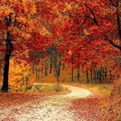 Relaxing music: Sleep, meditation, relaxation