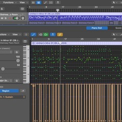 Untitled In Minor 81 (08.Jun.2024.)