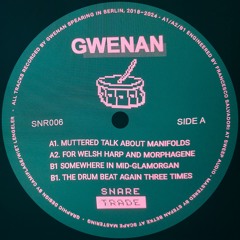 Premiere: B1 - Gwenan - The drum beat again three times [SNR006]