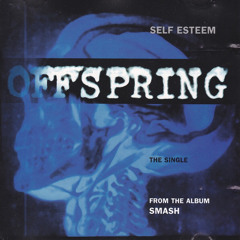 Self Esteem - cover Offspring by SMASH