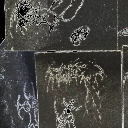LEASK X XABHI - FORUM